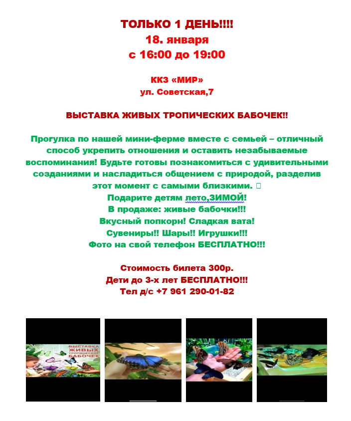 ТОЛЬКО 1 ДЕНЬ!!!! 18. января с 16:00 до 19:00  ККЗ «МИР» ул. Советская,7  ВЫСТАВКА ЖИВЫХ ТРОПИЧЕСКИХ БАБОЧЕК!!
